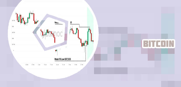 Bitcoin share price