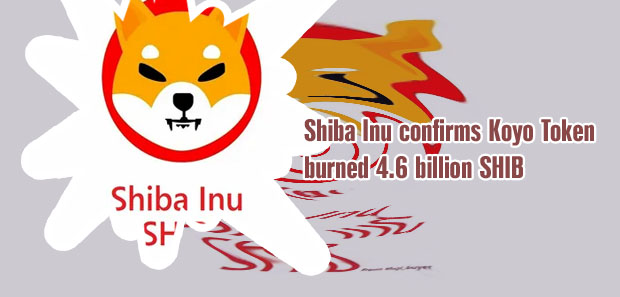Shiba token cryptocom